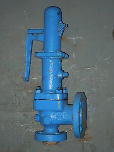 crosby balanced bellows relief valves
